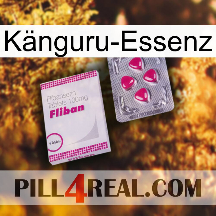 Känguru-Essenz 32